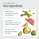 Virtue Full Conditioner